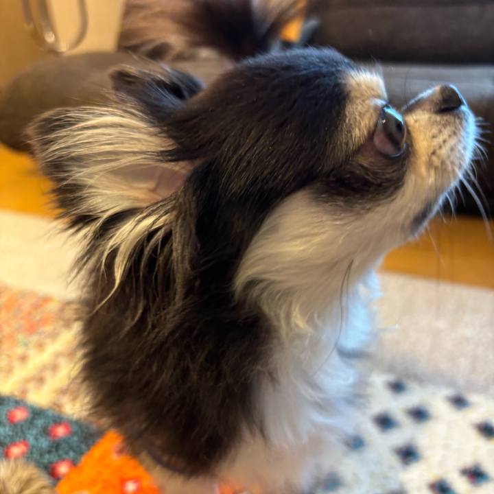 205fa851 5407 486a 8b4d 5dc07dfe5287 1720887892156