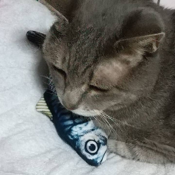 205fb398 20eb 48f8 bcb2 e6187ef8855c 1664364867422