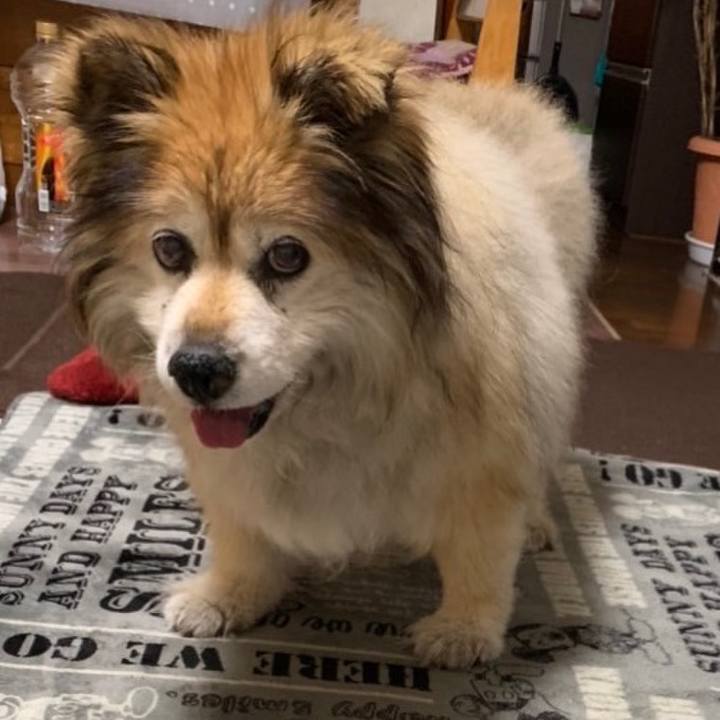 205fb784 c75e 4f09 af4d b79930cc2f6b 1635866416675