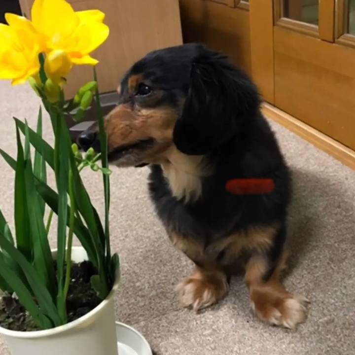 205ff695 fa64 4503 9a1c e33bfae3b62c 1580768088427