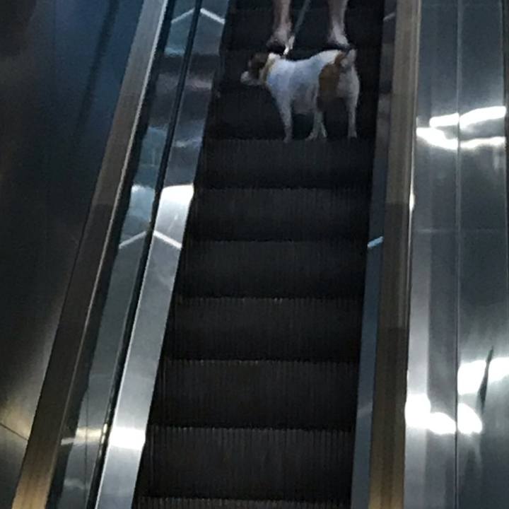 205ffcd1 fa7e 4eb0 a5fa d9758d23395d 1571930950725