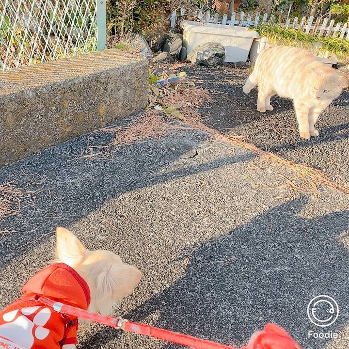 205fff8d 7e0c 4a2d 8295 3cd70576e647 1607237381490