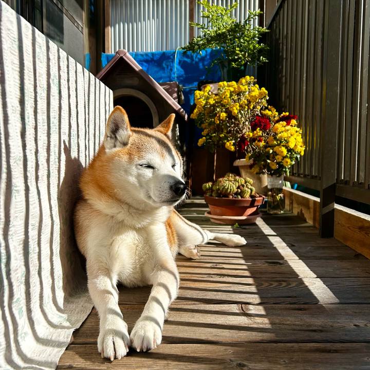 206013f5 d7d6 48a9 8890 25fa4ddeb7be 1764663041216