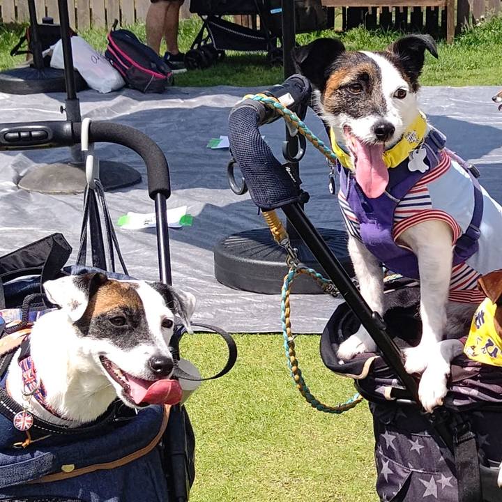 2060186b f979 460e b288 eeaeafcf3f1b 1685174944759