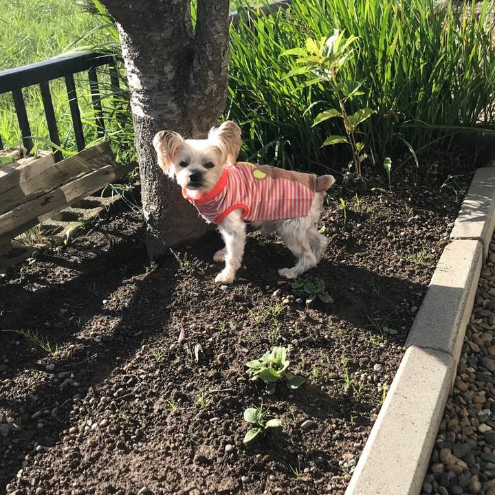 20602974 845a 438c 85be c6c5d2f7d691 1569053913442