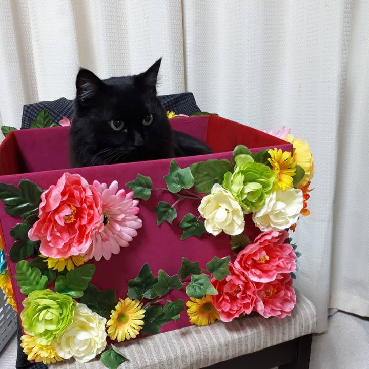 20603171 3769 4dbe a7bc 797ef651fdf8 1517605556900