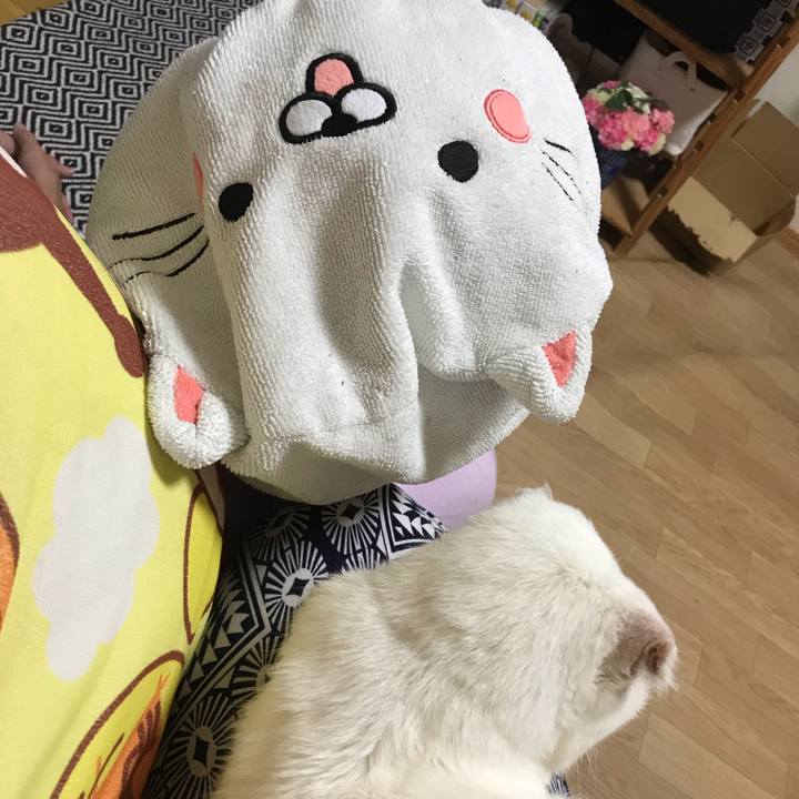 20603fb1 9749 4246 a323 bc7b1ffe3e77 1571830790070