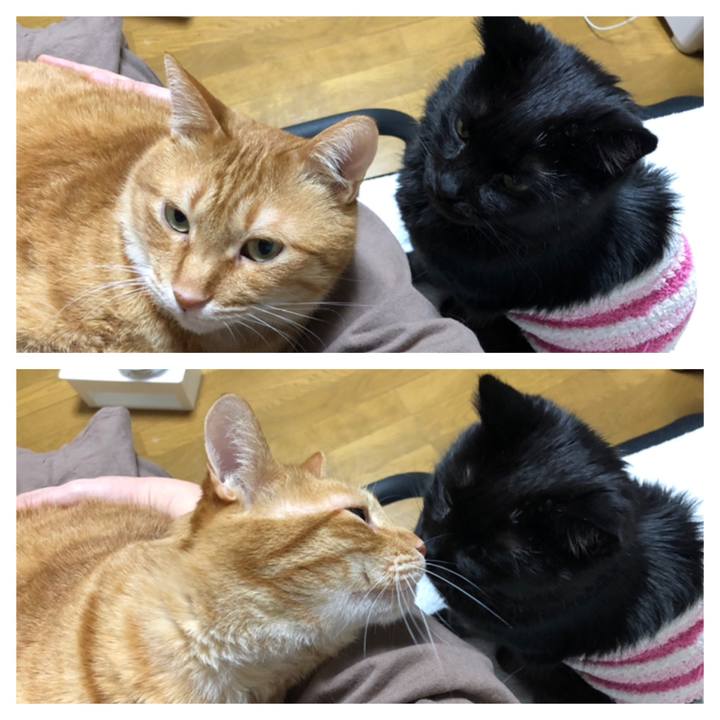 2060628f f8f2 48ce 91d1 6d4814fcd944 1611239136661