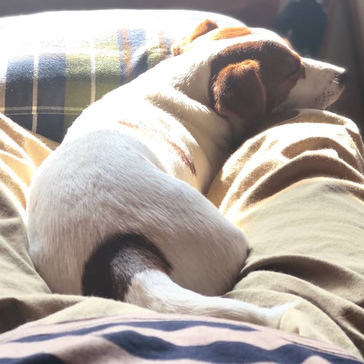 20607f94 3353 423a a1da 9a3fcc0a8e7c 1560072187741