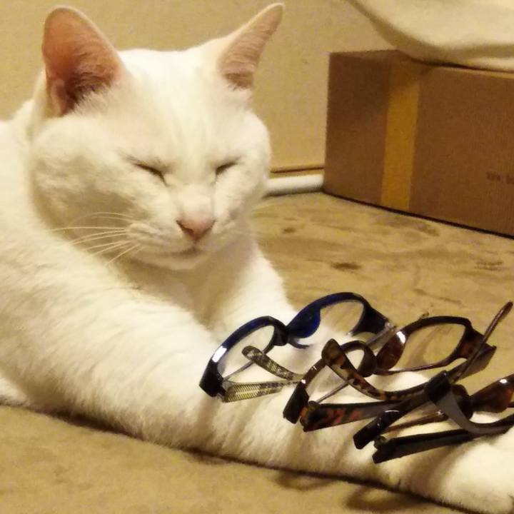 20609e6e a838 4b1b abbd 2a37850fca90 1560934250719