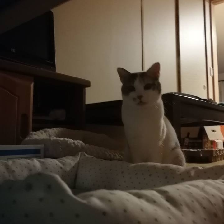 2060fd95 d162 4f8c 9d91 8ae29413db59 1548853134266