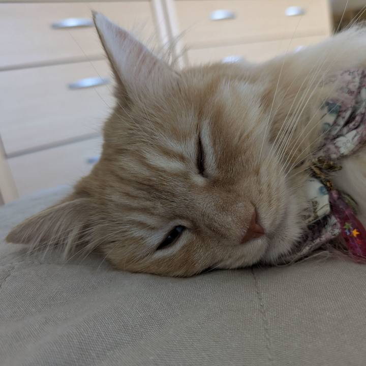 20611d95 01e6 4de6 88ce 1a65f95468e2 1753748005332