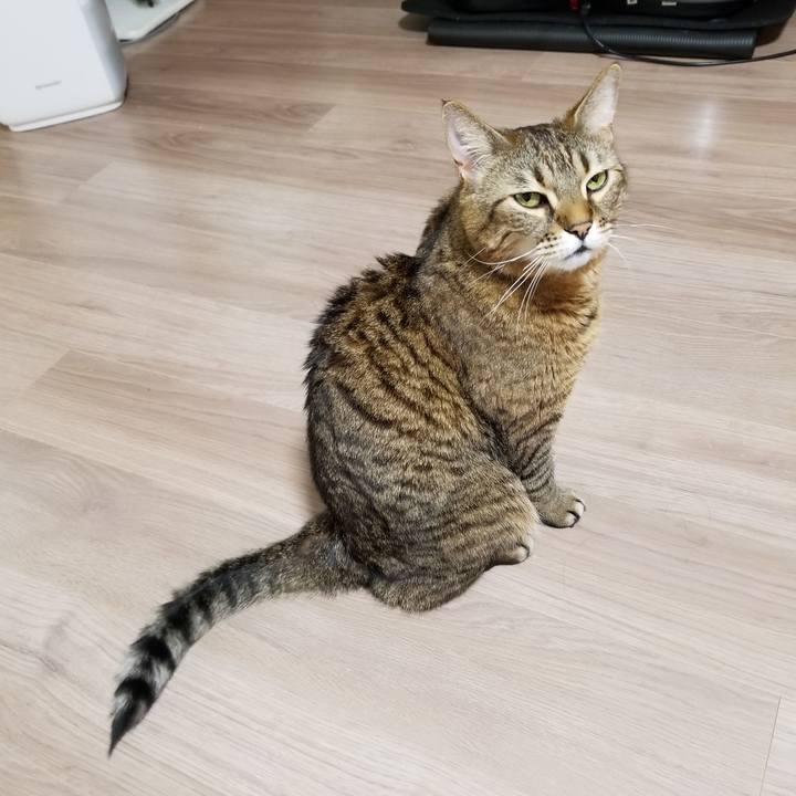 20611e6d 3975 494f 9f8a 7ec43cde1994 1616362881994