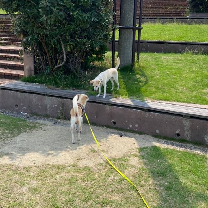 206121e8 e5a7 4175 80ce ebf890c84ab7 1628639674649