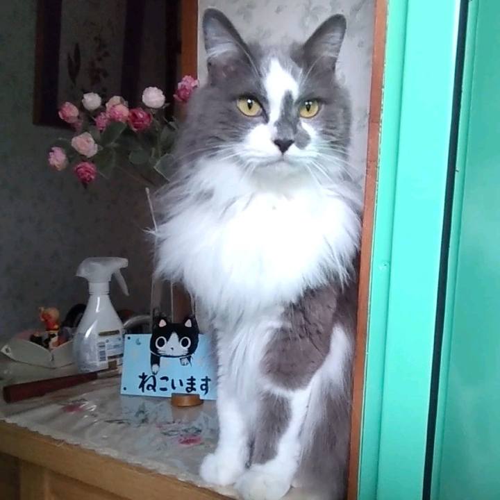 2061606c 0379 47dc ba77 8d73562651a9 1686398404497