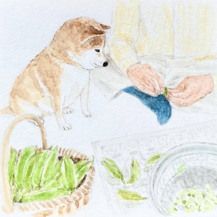 20616bc3 b549 4ccd a095 e0cf342896b7 1775183404750