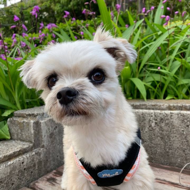 20617240 3fa8 40a3 bd38 4ac05f40edc5 1558524560775