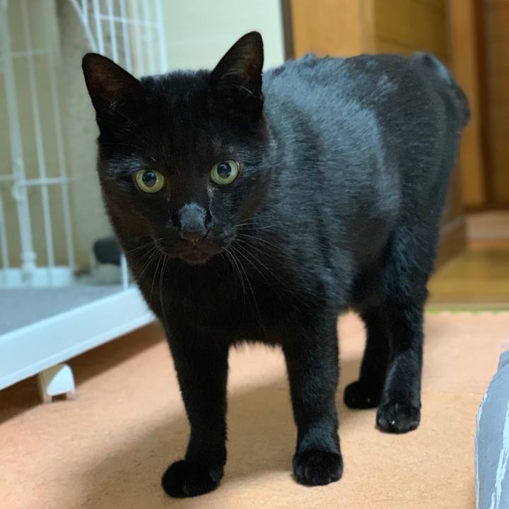 20618133 2d5d 4b49 99b6 1d9f122a388d 1543365348553