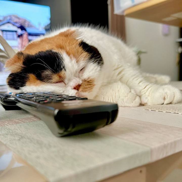 2062279e 48b4 4068 9aa0 1bf3e526034b 1720619888997