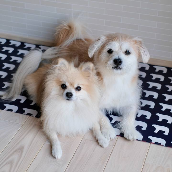 20622f3d a209 4e59 a28d e72a45721cd2 1760997030205