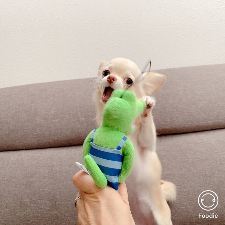 20624e9c 13d2 40bd 8d2d e4098aaae99c 1603433373853