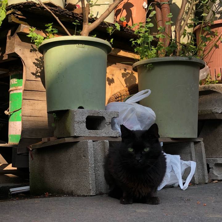 206252d0 3c86 467f b851 1d64b39240c0 1649605583126