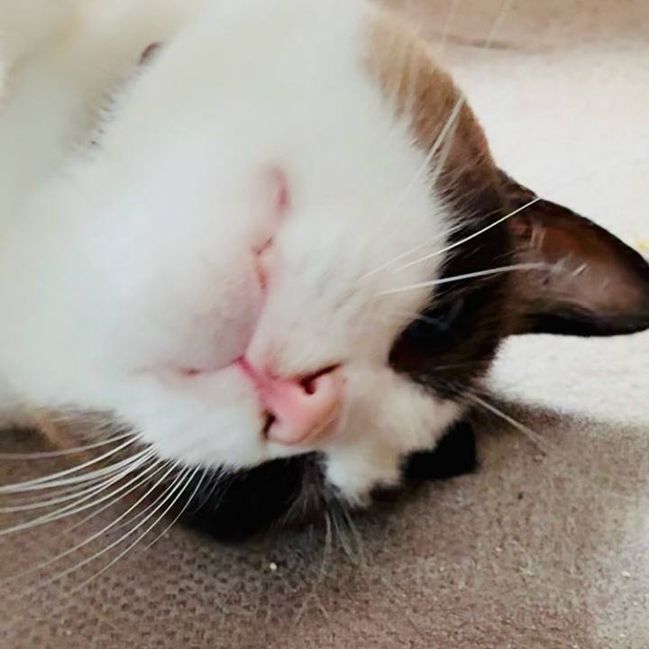 20627450 6cec 4133 8db7 adb0784b470d 1754622791633