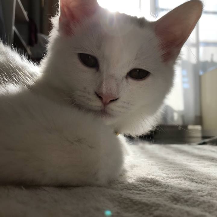 206298d4 d527 4388 a6de b13b669090f7 1509943201249