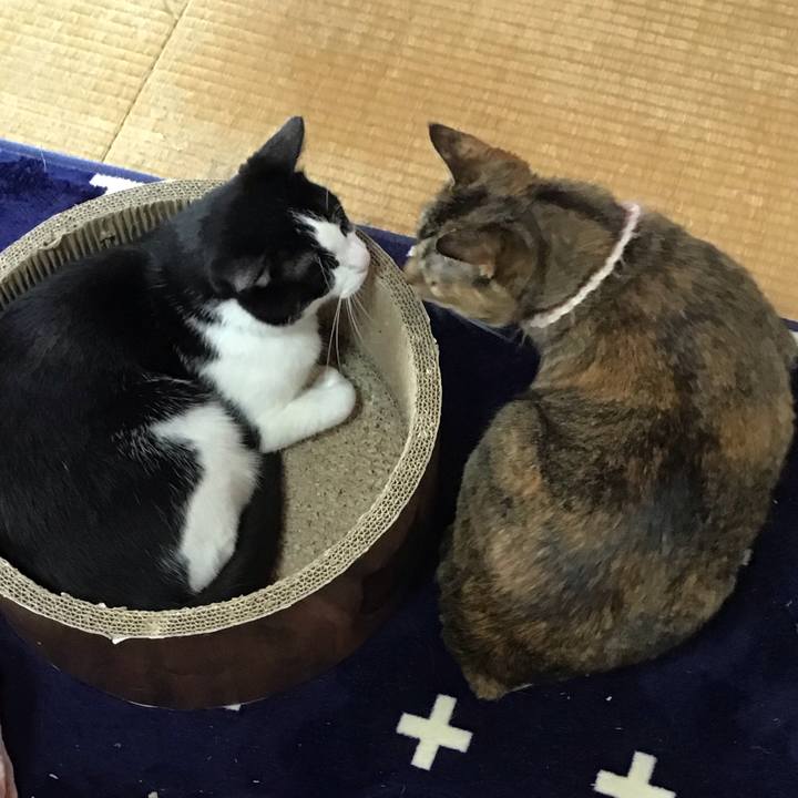 2062a12e 6f46 472a 94cc f7f0f9edb3ae 1714608187623