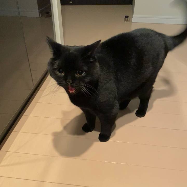 2062a477 e635 42d6 8df4 c96c7abeebc3 1736327074204