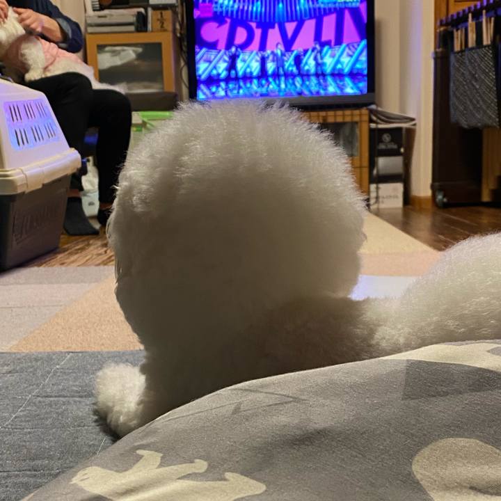 2062f230 1420 4042 83e1 13dfacc9e000 1621252898287