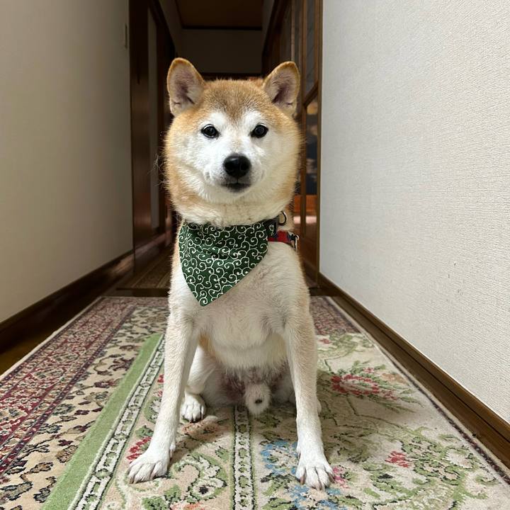 2063232f 27fb 488d be2e 4b2612f85db5 1696840875398