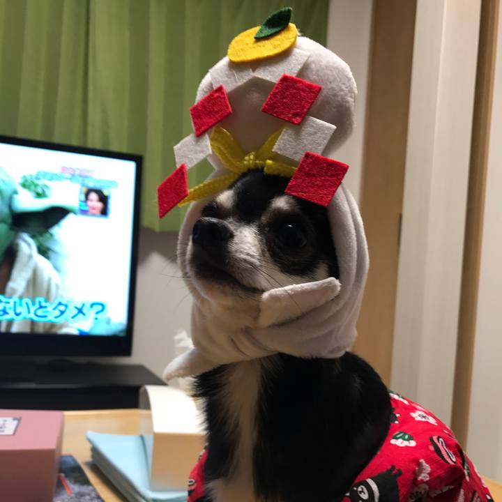 20635ca1 514d 47be 93d1 b96a3bee548a 1514755627525