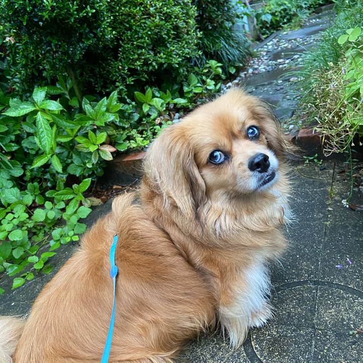 20636997 5b6f 4df1 beb6 9679da3b7a03 1591912620883