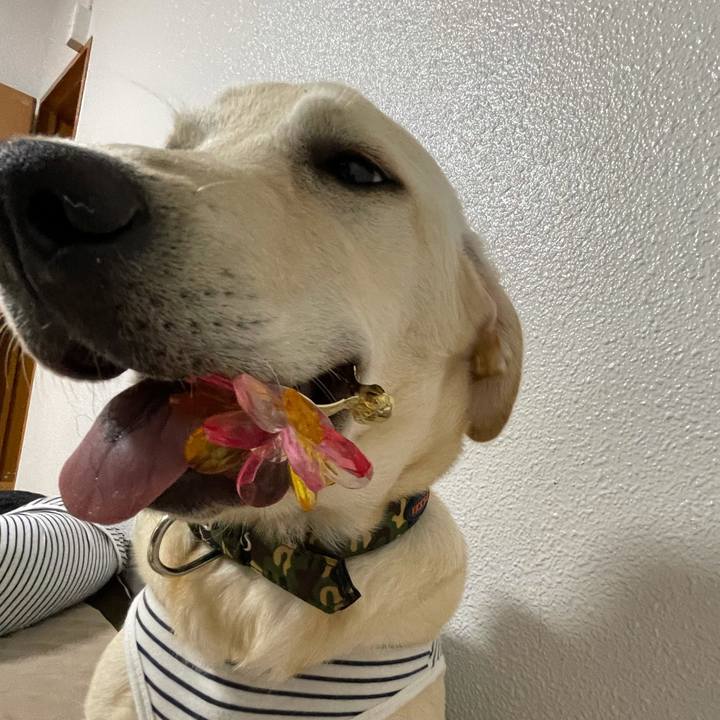 20638324 7cd6 4be8 a08d 441593933701 1621462215307