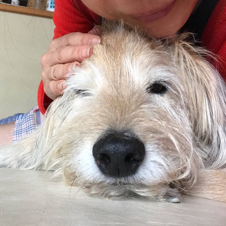 206396fe 14c6 4045 98ad c64da5b6b0c0 1606956550412