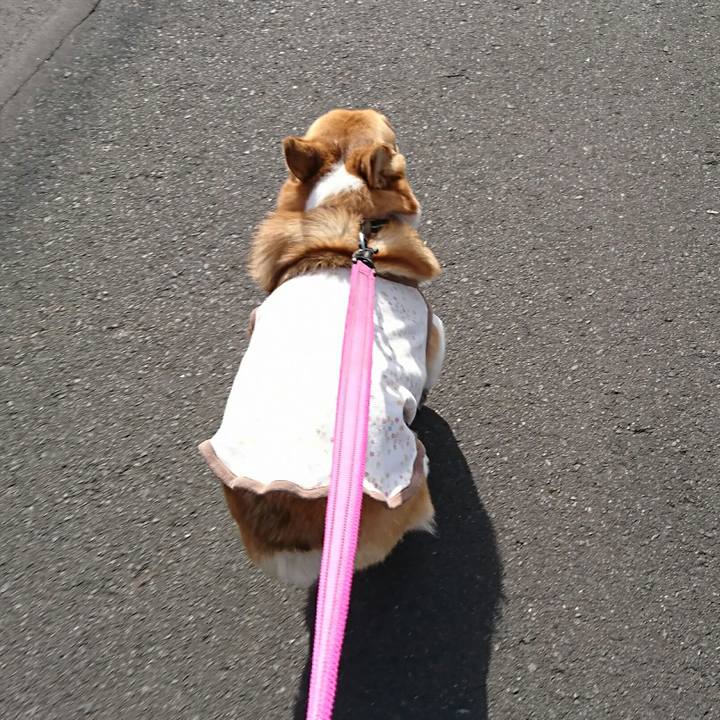 20639f0a a137 4f0f 9ac5 6e5287f02bdb 1550113627602