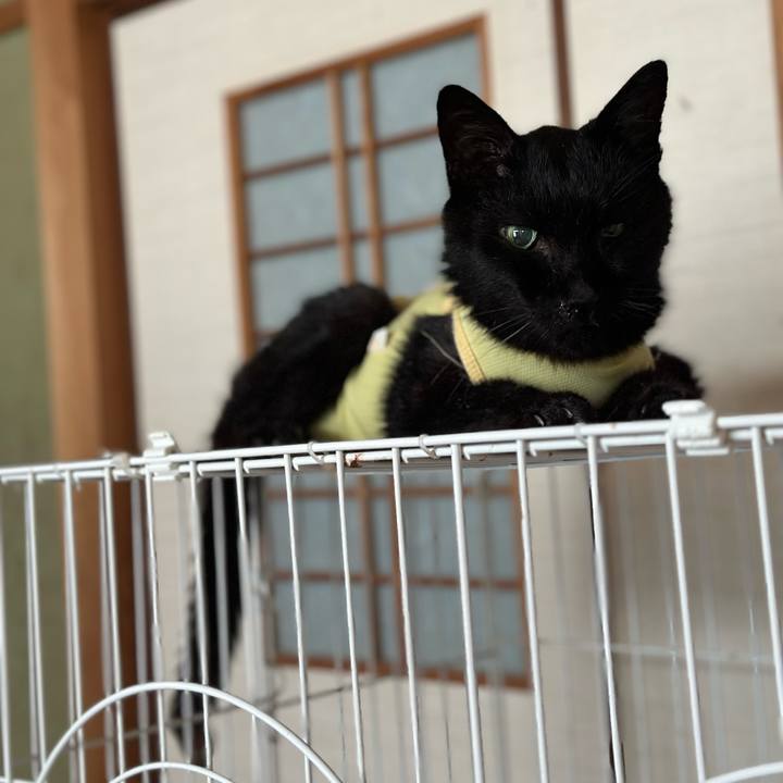 2063d9ce 1b40 4015 b556 1e587f39ccf7 1719973279632