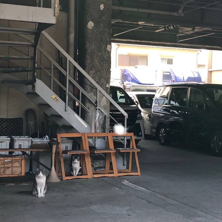 2063e01d 83ab 4265 93cc 2806707dd4e6 1559306245528