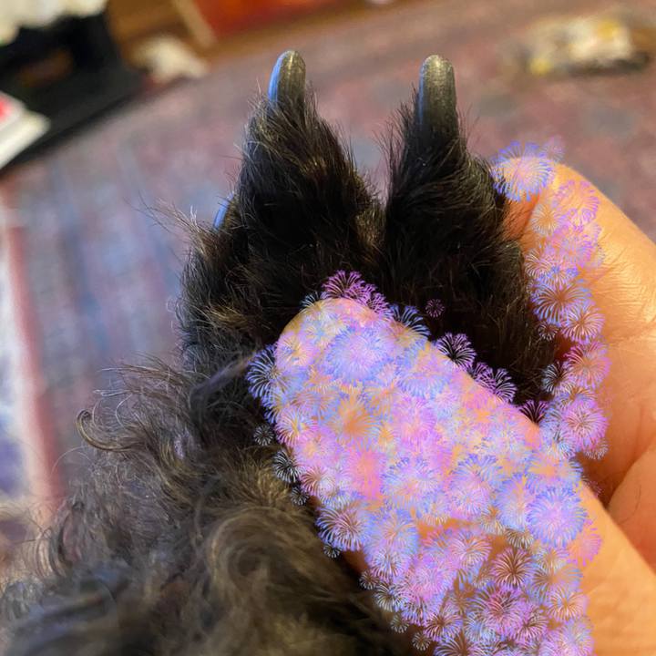 2063f8e4 a5e4 4161 9586 894400a0305b 1577669656136