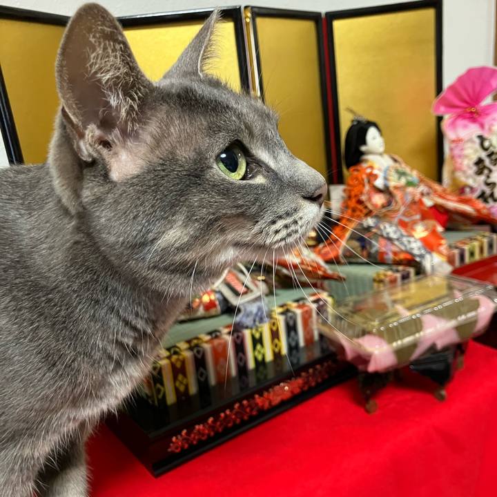 206400ad 5c6c 4710 88bd 9138b76e53b8 1772542717548