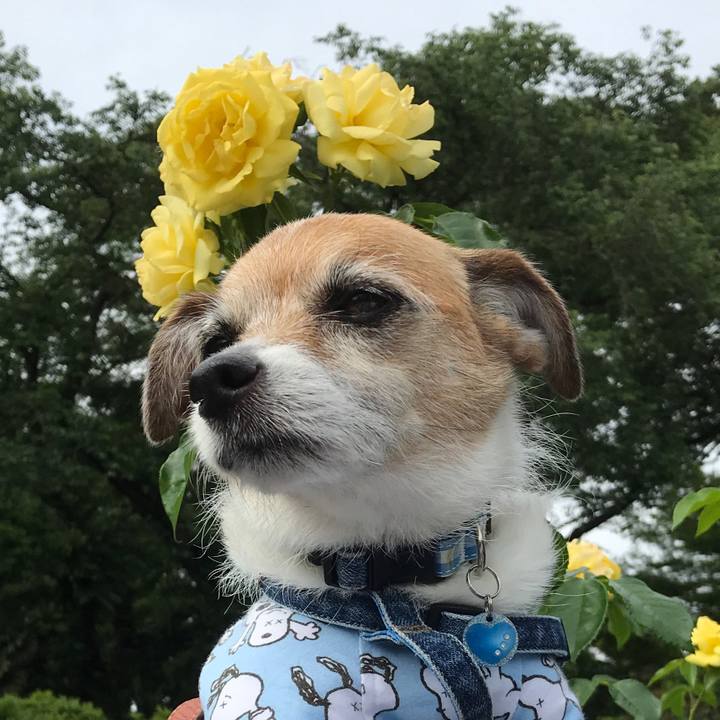 206402d8 0361 404e ba06 c6f424c10cb0 1591497912131