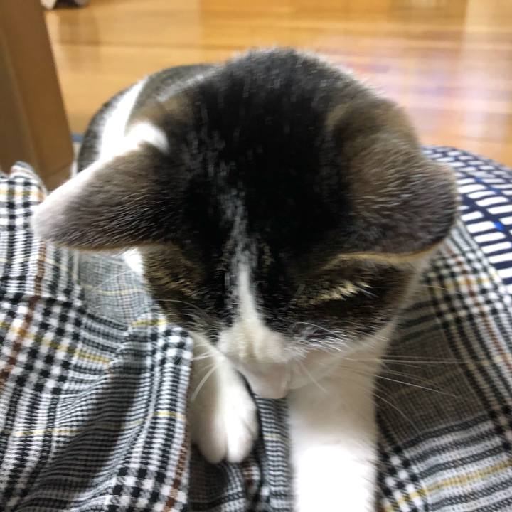 20643391 05fb 4a28 bd4c 50e6187ed363 1592655988459