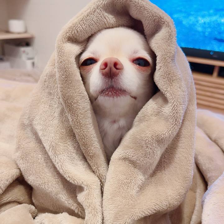 20645e54 e9fd 4a30 ac1e 557c779ee714 1720792848715