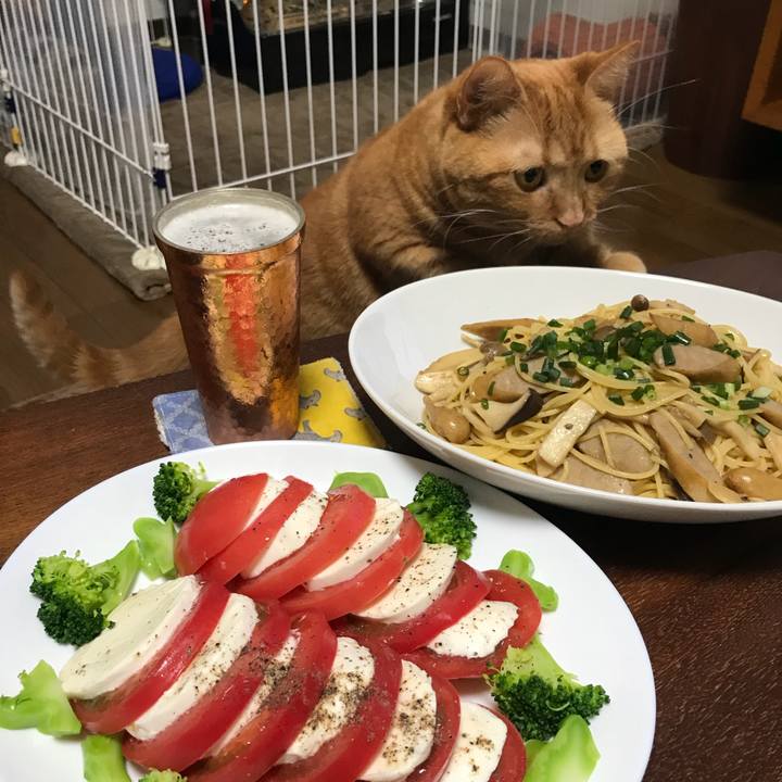 20645fe6 0896 46c9 83f3 406983536b9b 1542630805964