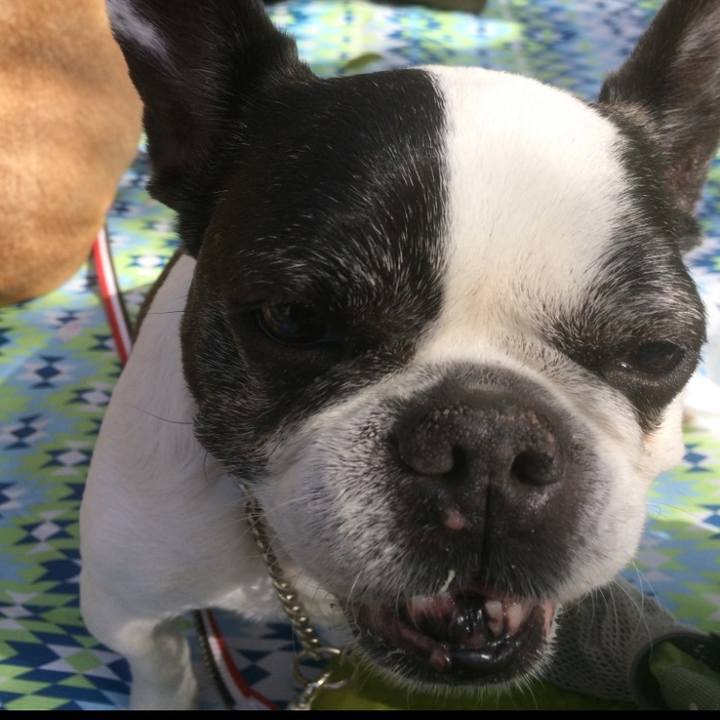 20646a89 6797 43af 83c6 22b89f2674ce 1636302351810