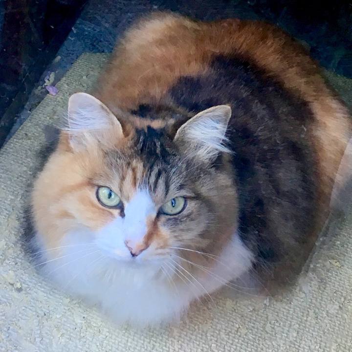 2064a84a 56b9 45f8 b8a7 2529e4051ddd 1557265889620