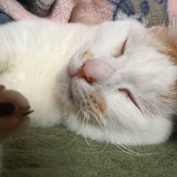 20650161 d513 4cbf a409 1a0da2dccae4 1524916627533