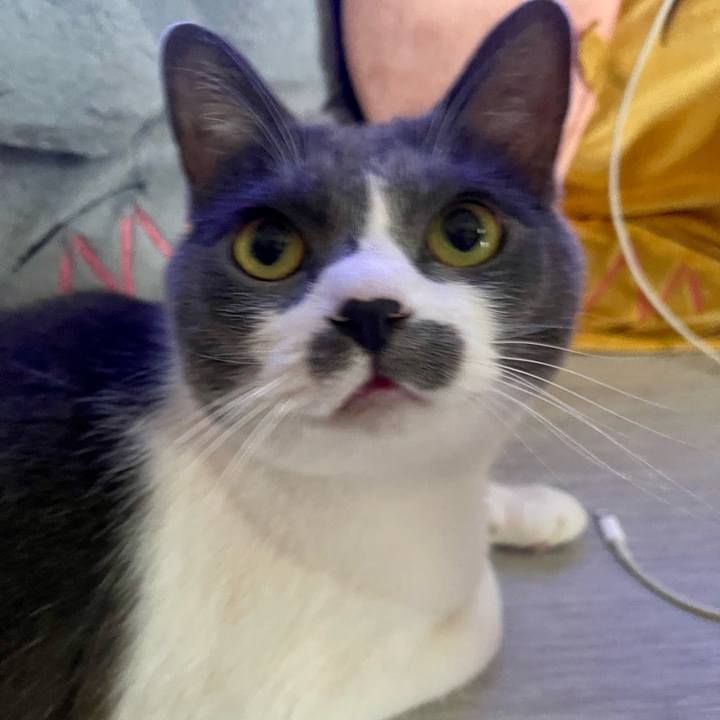 206546b6 e297 4bc5 8fa5 e90d5516712e 1752713678625