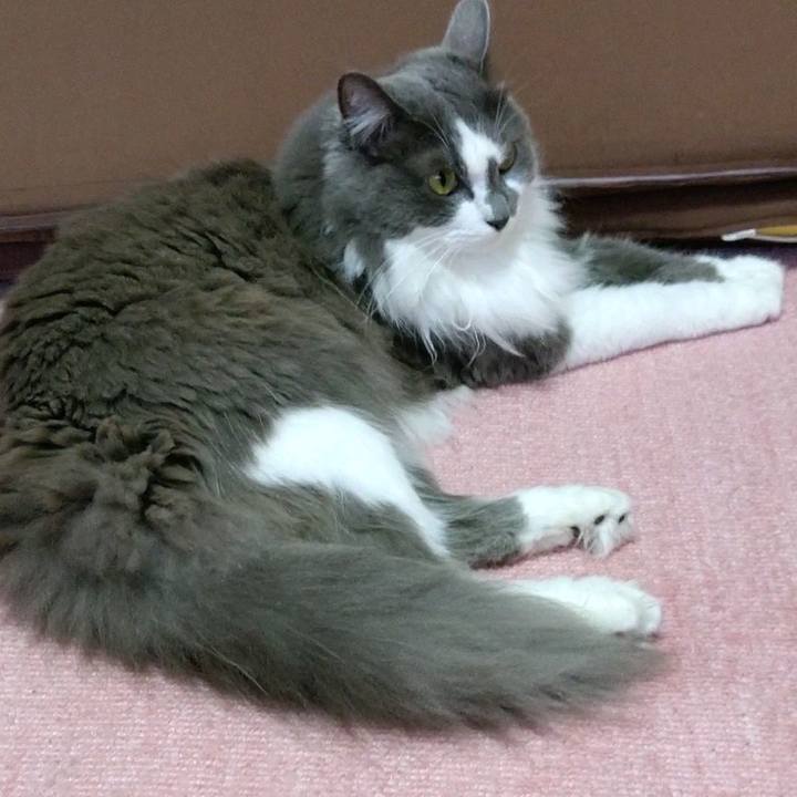 20654b3b 16f1 47b6 af77 3c9547963c1c 1595117373921